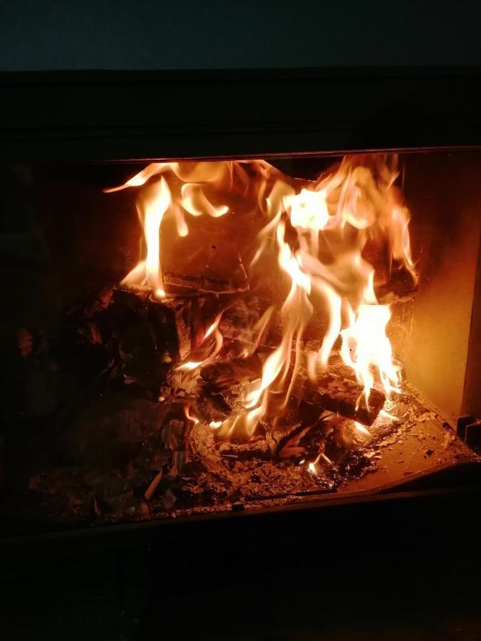 הוילה פונדאטה Casuta Con מראה חיצוני תמונה